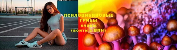 синтетический гашиш Гусиноозёрск