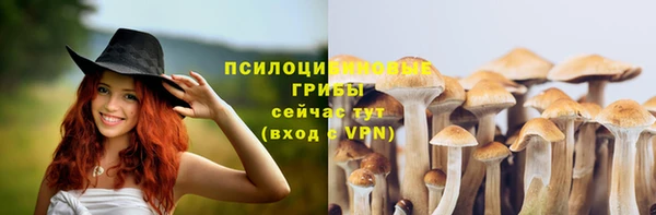 тгк Гусь-Хрустальный