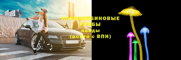 синтетический гашиш Гусиноозёрск