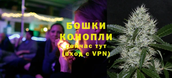 тгк Гусь-Хрустальный
