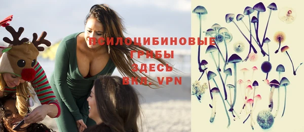 тгк Гусь-Хрустальный